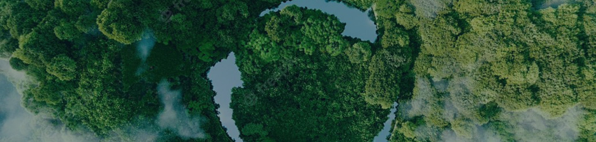 Circular Economy